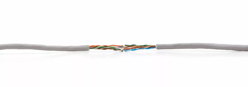 A cut ethernet cable